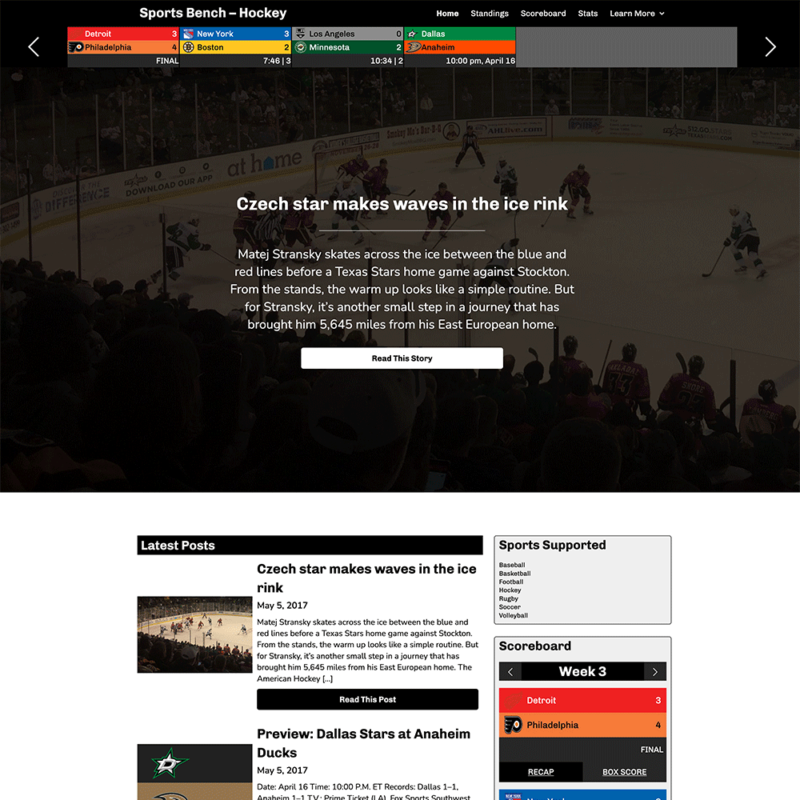 Screenshot of the hockey hero section homepage in Sports Bench