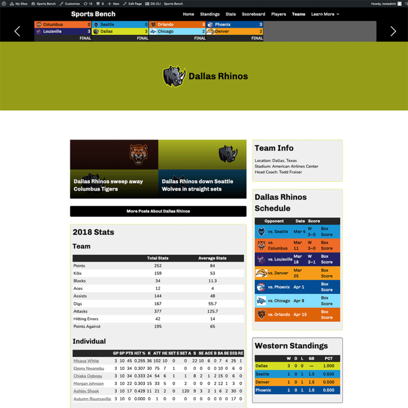 Screenshot of the volleyball single team page in Sports Bench