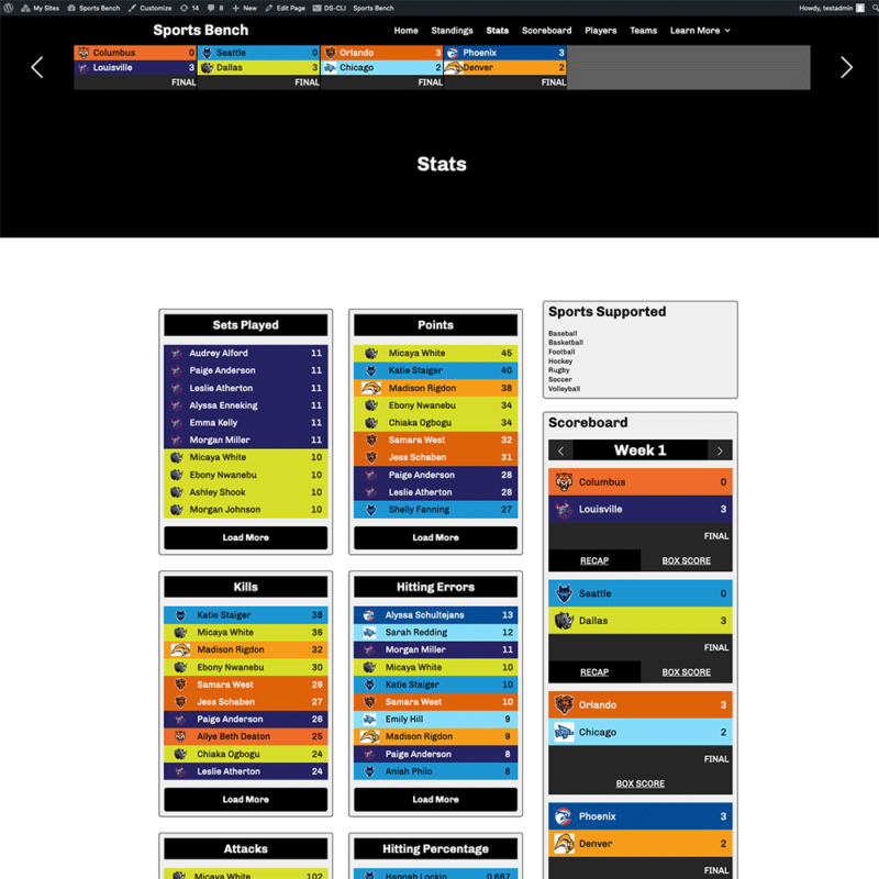 Screenshot of the volleyball stats page in Sports Bench