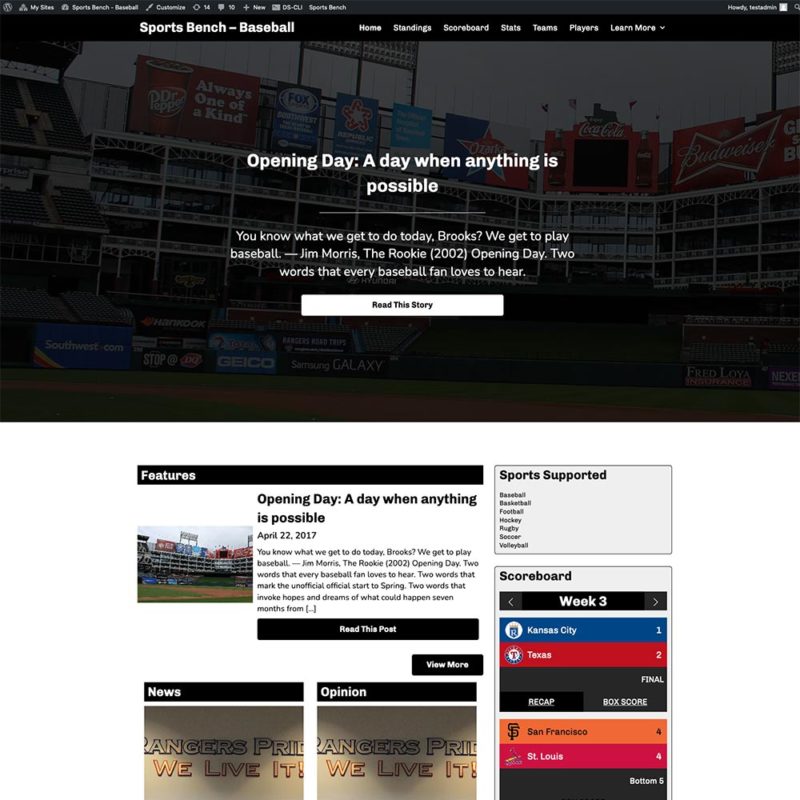 Screenshot of the baseball hero section homepage in Sports Bench