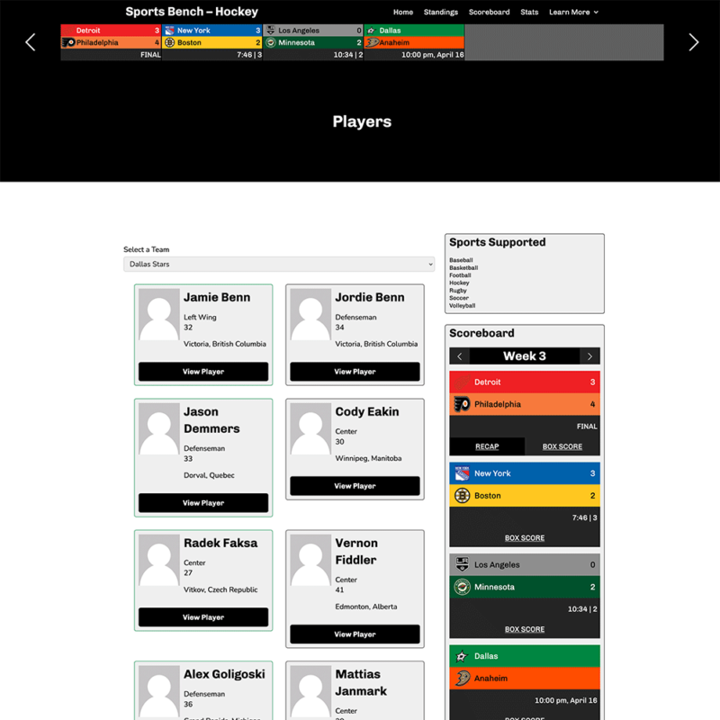 Screenshot of the hockey players page in Sports Bench