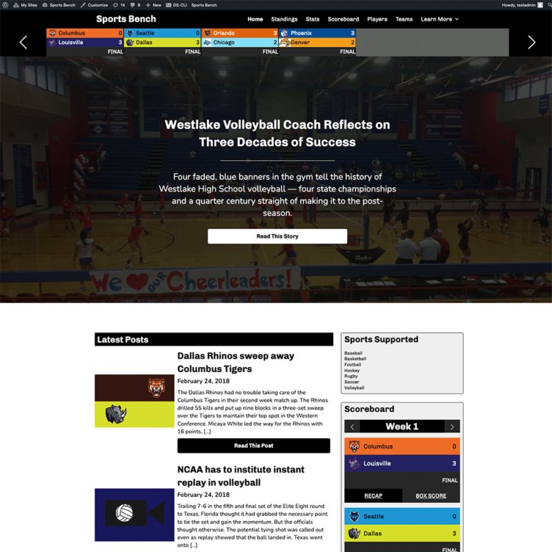 Screenshot of the volleyball hero section homepage in Sports Bench