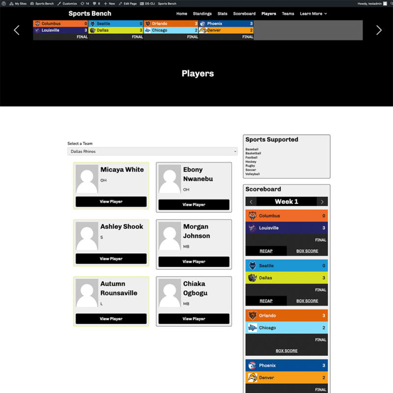 Screenshot of the volleyball players page in Sports Bench