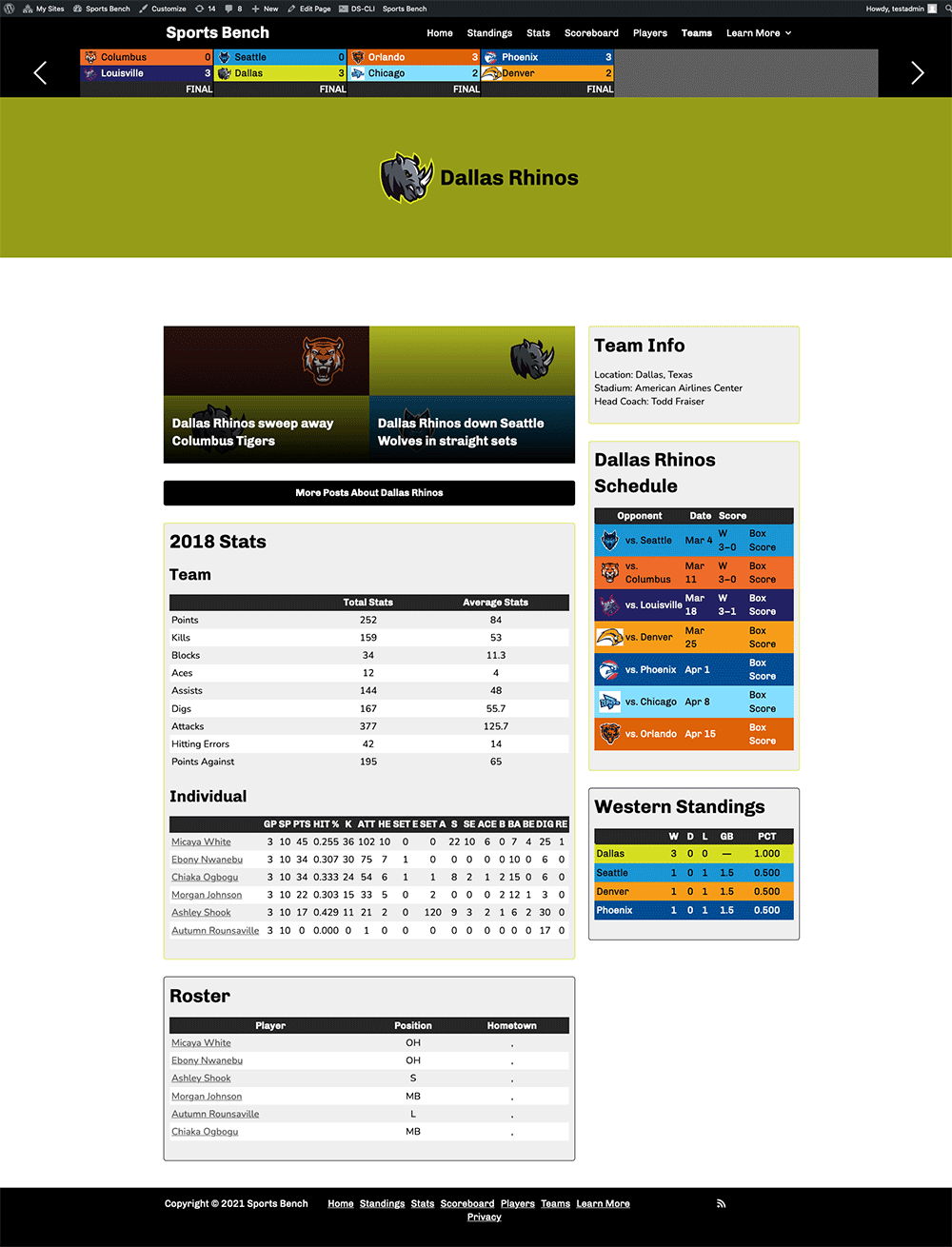 Screenshot of the volleyball single team page in Sports Bench